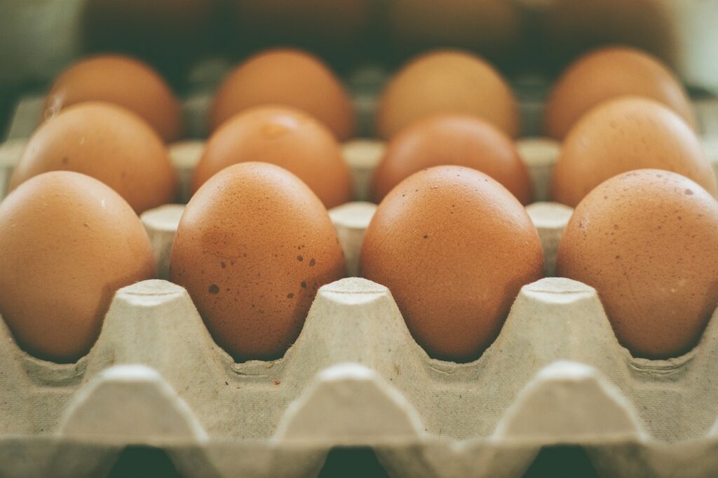 eggs, carton, food-933722.jpg